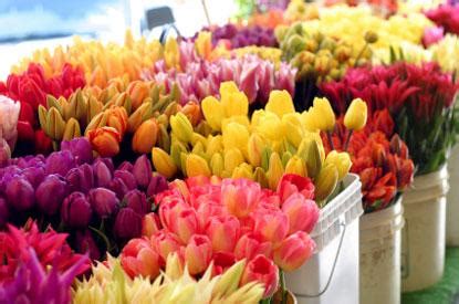 wholesale flowers chicago area